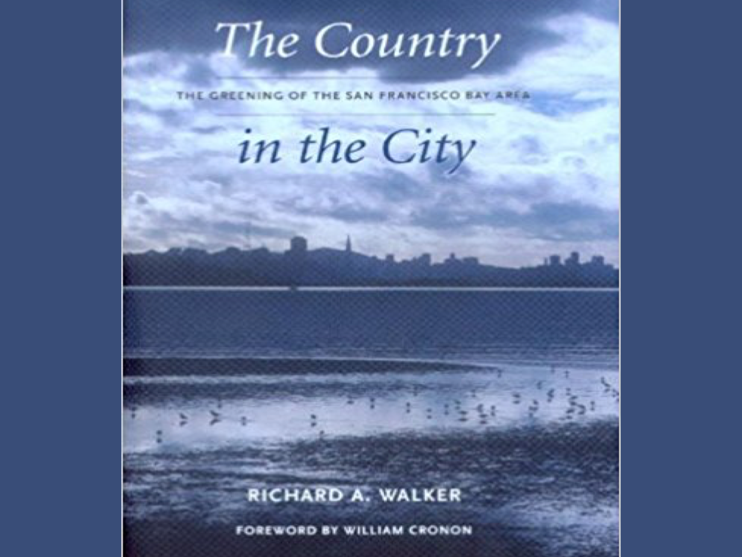 “Country in the city” Book Review