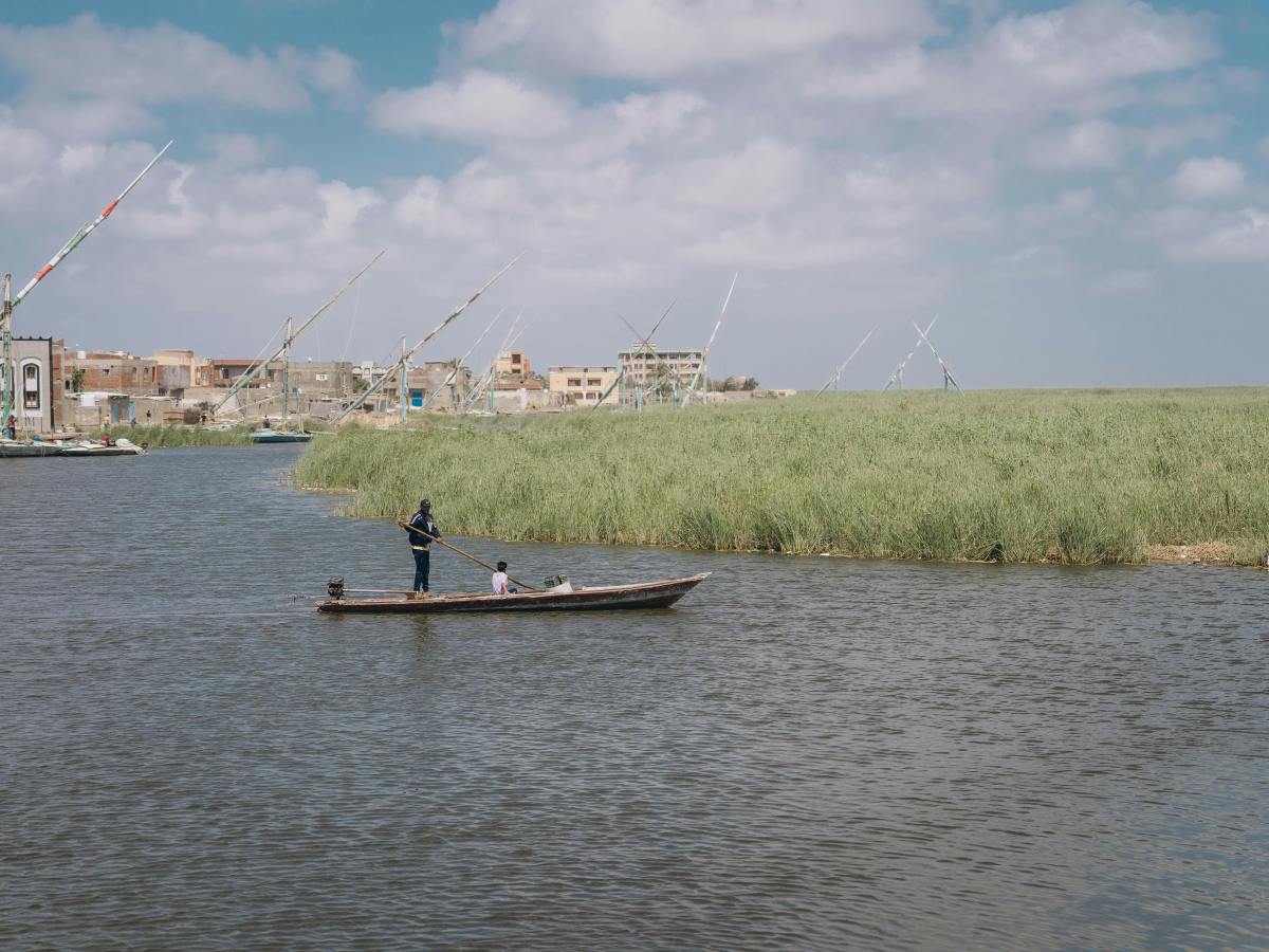 Engaging Egypt’s Landscape Architects to Combat Climate&nbsp;Change